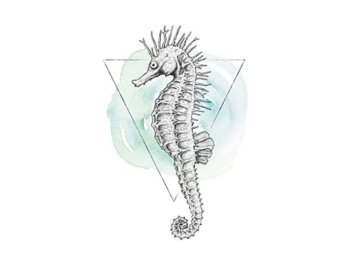 Komar Peinture murale Sea Horse Watercolor - Taille : 50 x 70 cm Sans cadre - Pure Boutique