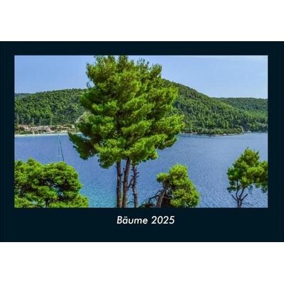 Bäume 2025 Fotokalender DIN A4
