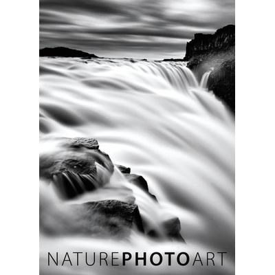 Nature Photo Art 2013