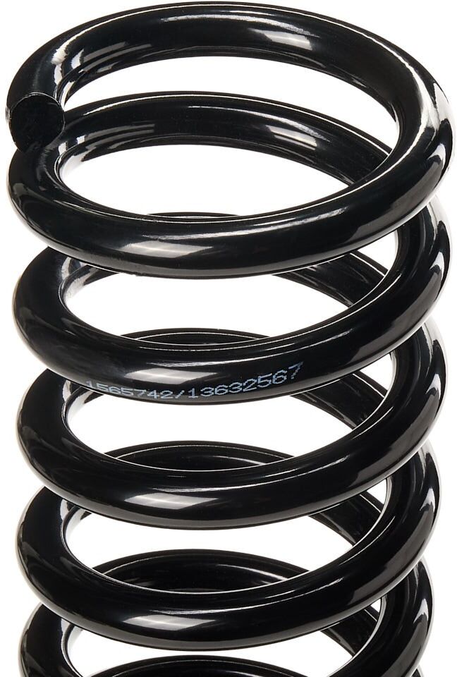 RIDEX 188C0362 Coil spring