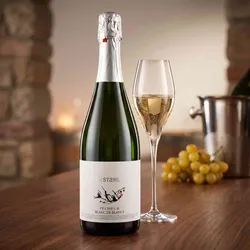Christian Stahl, 97215 Auernhofen - Schaumwein trocken - Franken, Deutschland
