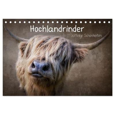 Hochlandrinder - Zottelige Schönheiten (Tischkalender 2027 DIN A5 quer), CALVENDO Monatskalender