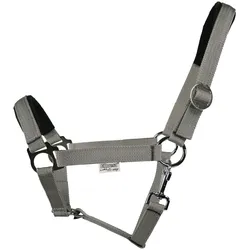 EQuest Halfter Regular Plus aus Polypropylen, grau - L / Warmblut / Full