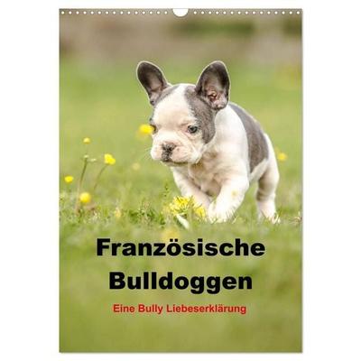 Französische Bulldoggen - Eine Bully Liebeserkärung (Wandkalender 2027 DIN A3 hoch), CALVENDO Monatskalender