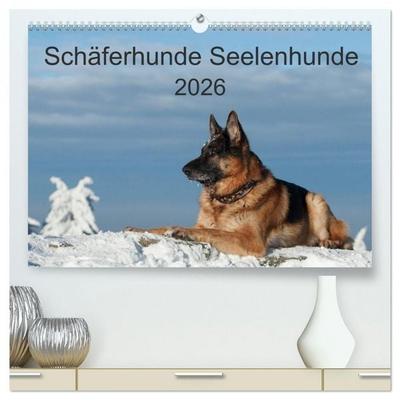 Schäferhunde Seelenhunde (hochwertiger Premium Wandkalender 2026 DIN A2 quer), Kunstdruck in Hochglanz