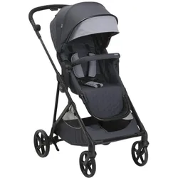 Chicco, Kinderwagen, 4-Rad-Kinderwagen Seety Boston (0 Monate - 4 Jahre)