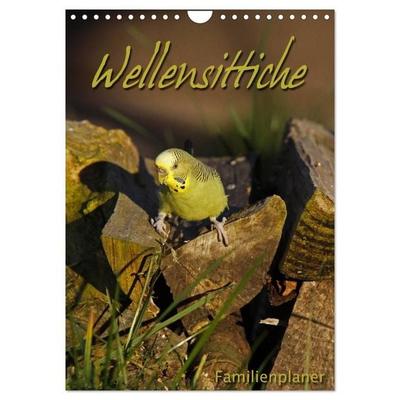 Wellensittiche (Wandkalender 2027 DIN A4 hoch), CALVENDO Monatskalender