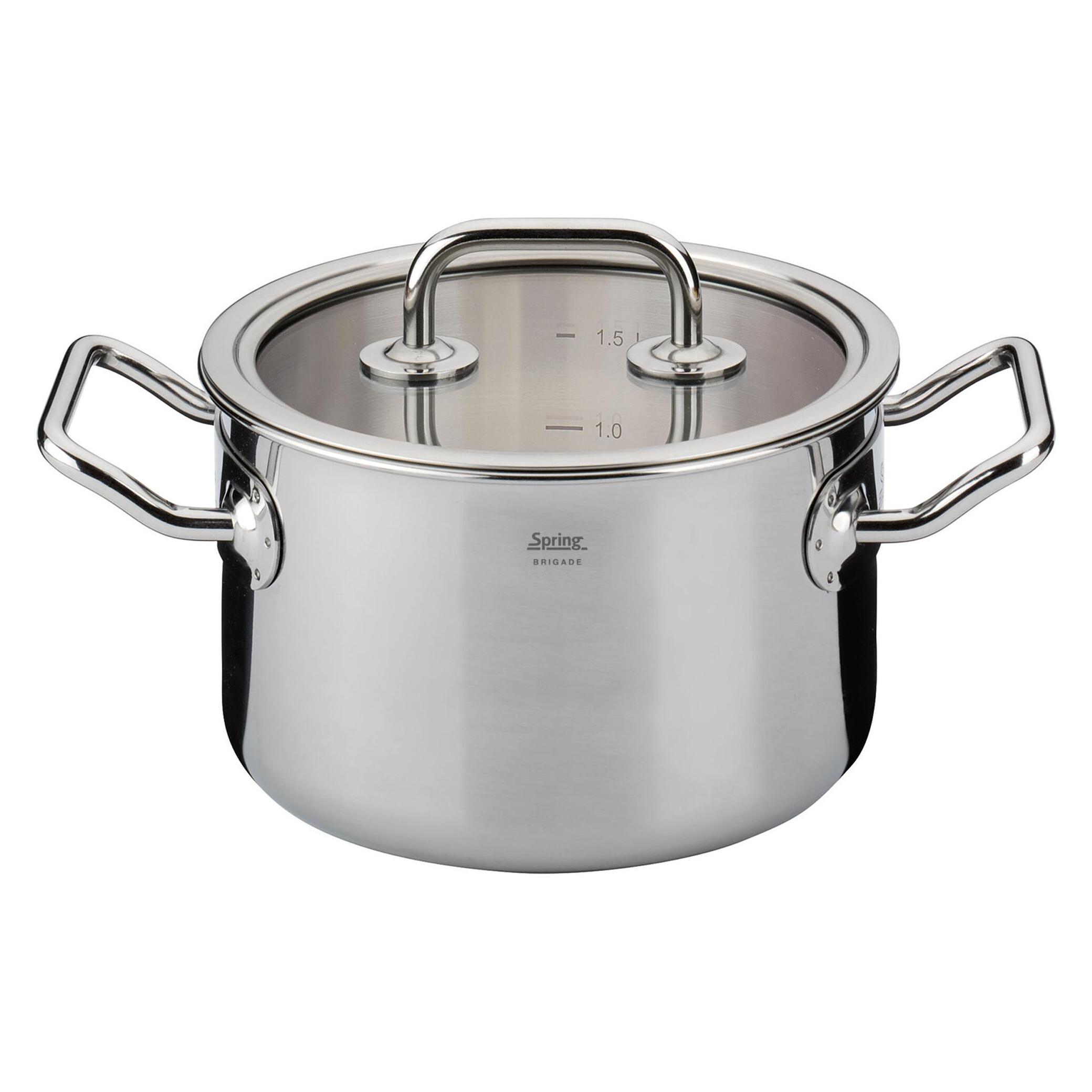 Spring Fleischtopf BRIGADE BASIC 16 cm 2,0 Liter mit Glasdeckel INDUKTION (Kochtopf, Edelstahl, 16 x 10 cm) (04 8084 06 16)