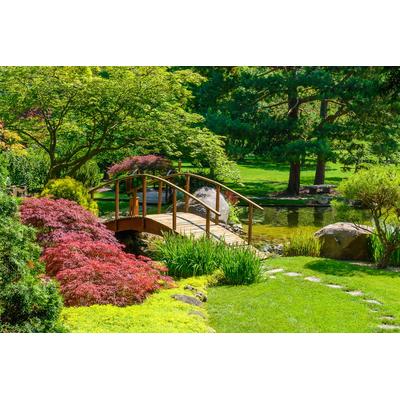 Fototapete PAPERMOON "Japanischer Garten", bunt, B:2,5m L:1,86m, Vlies, Tapeten