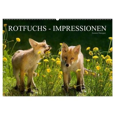 Rotfuchs - Impressionen (Wandkalender 2027 DIN A2 quer), CALVENDO Monatskalender