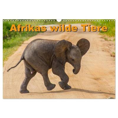 Afrikas wilde Tiere (Wandkalender 2026 DIN A3 quer), CALVENDO Monatskalender