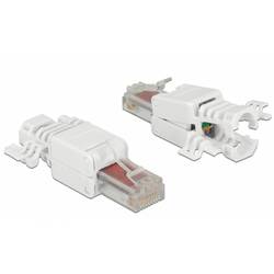 Delock - Netzwerkanschluss - RJ-45 (M) - UTP - CAT 6 - (Anzahl pro Packung: 2) 86416
