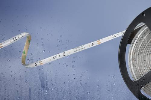 Barthelme 51540433 51540433 LED-Streifen mit offenem Kabelende 12V 5m Neutralweiß 1St.
