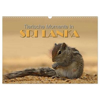 Sri Lanka - Tierische Momente (Wandkalender 2026 DIN A3 quer), CALVENDO Monatskalender