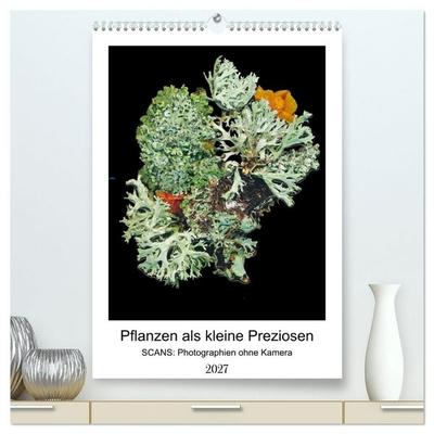 Pflanzen als kleine Preziosen (hochwertiger Premium Wandkalender 2027 DIN A2 hoch), Kunstdruck in Hochglanz
