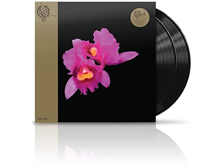 Orchid