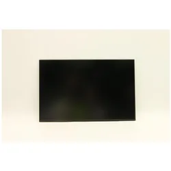 Lenovo CSOT 14.0 WUXGA AG, Notebook Ersatzteile, Mehrfarbig