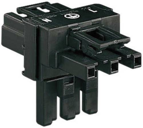 WAGO Netz-T-Verteiler Netz-Stecker - Netz-Buchse, Netz-Buchse Gesamtpolzahl: 2 + PE Schwarz 1St.