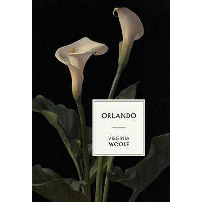 Orlando, Gebundene Ausgabe von Virginia Woolf, Fado Books, 978-1-76442-472-1