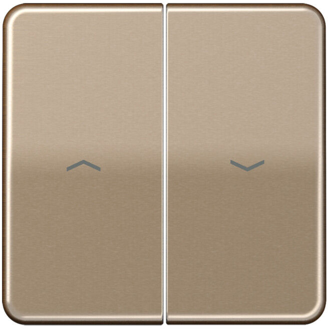 Jung Wippe Symboles or brz pour bouton-poussoir CD 595 P GB (CD595PGB)