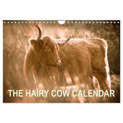 The Hairy Cow Calendar (Wall Calendar 2027 DIN A4 landscape), CALVENDO 12 Month Wall Calendar