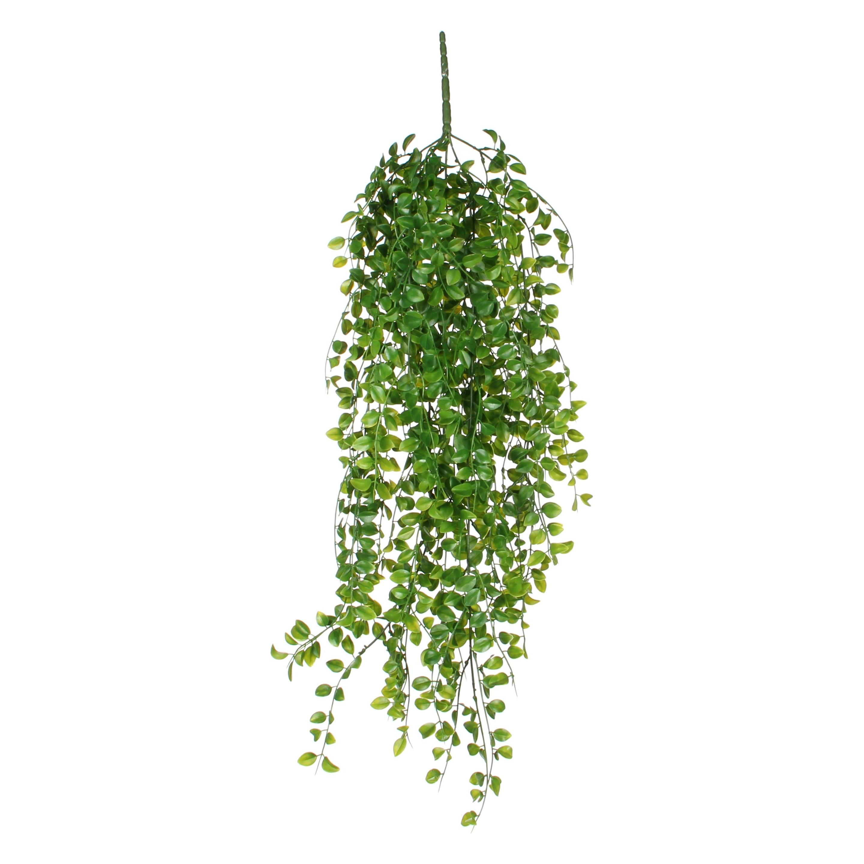Mica Decorations Ficus (81 cm) (1021026)