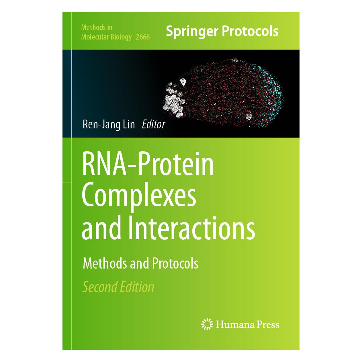 Springer RNA-Protein Complexes and Interactions (Englisch, Softcover, Ren-Jang Lin) (57056986)