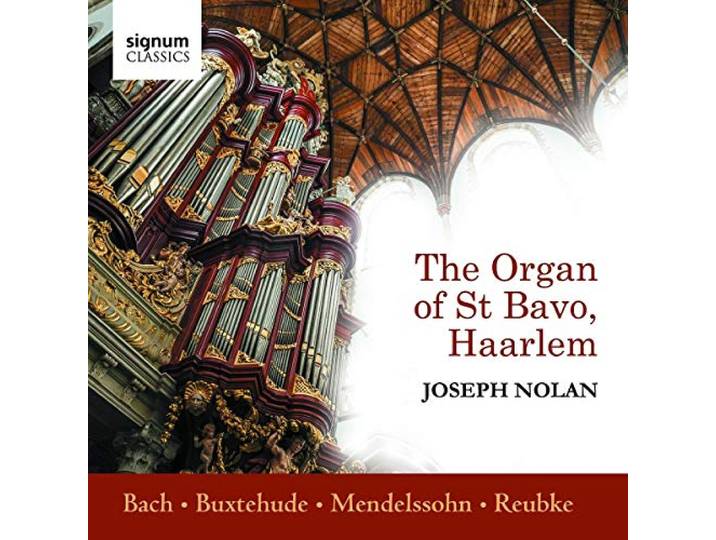 Joseph Nolan - The Organ Of St Bavo, Haarlem
