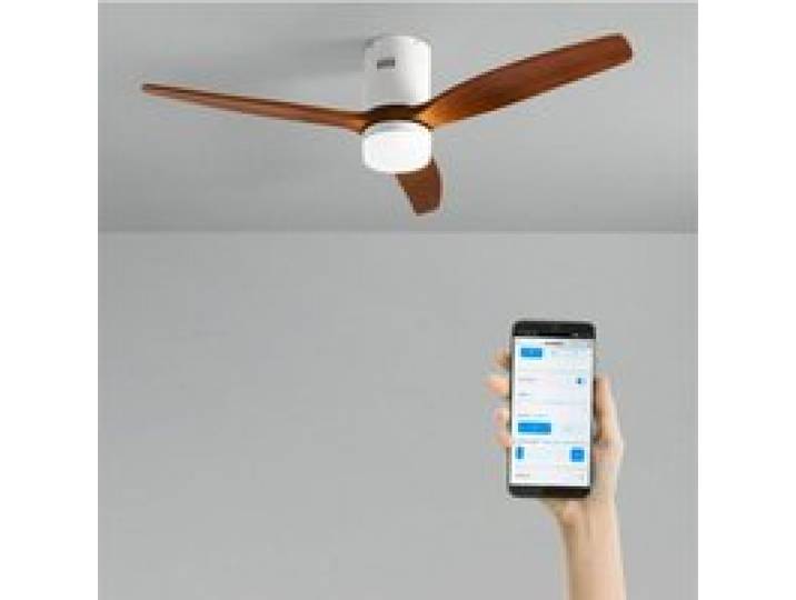 WIND CALM - Ventilateur de