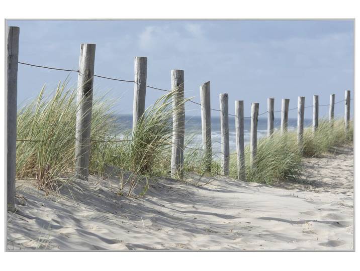 Bild mit Rahmen Zaun in Den Dünen image LAND