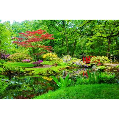 Fototapete PAPERMOON "GARTEN-BLUMEN BÄUME PFLANZEN STEINE WALD PARK BLÜTEN", bunt, B:3,5m L:2,6m, Vlies, Tapeten