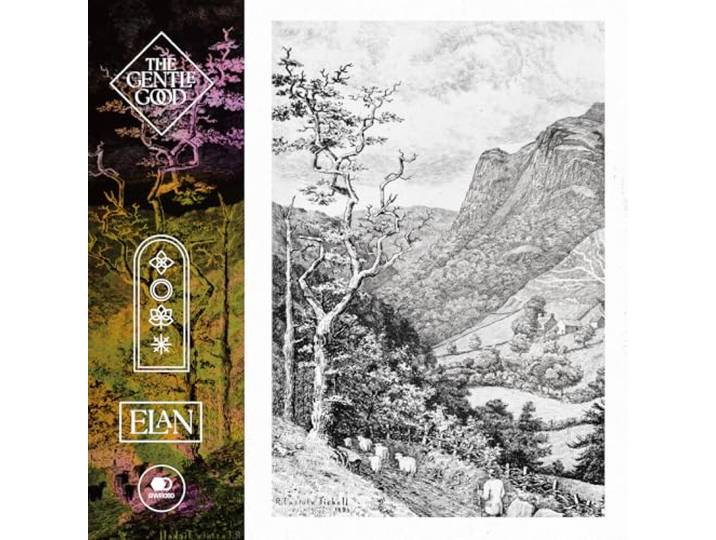 Elan