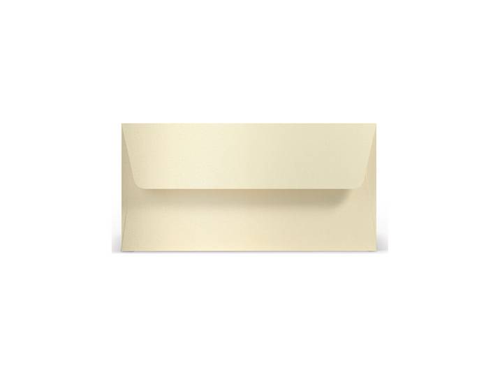 Paperado Umschläge DL, FSC Mix Credit, 110x220mm, 120g/m2, Beutel 5Stück