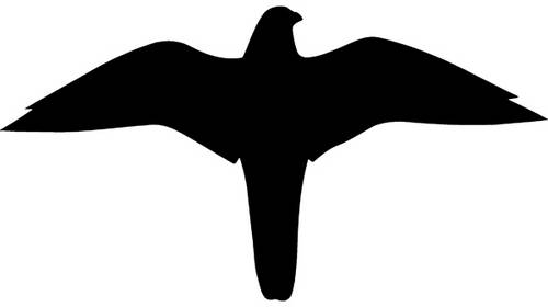 SafetyMarking 21.5875 Hinweisschild Falke Folie selbstklebend (B x H) 259mm x 139mm 1St.