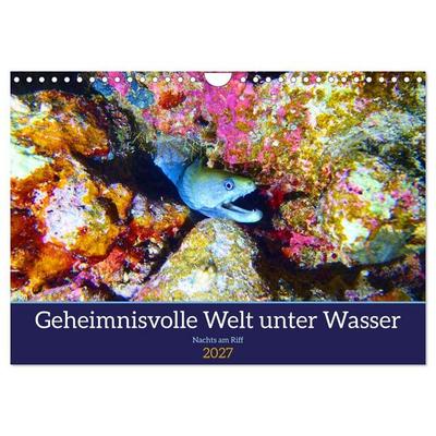 Geheimnisvolle Welt unter Wasser - Nachts am Riff (Wandkalender 2027 DIN A4 quer), CALVENDO Monatskalender