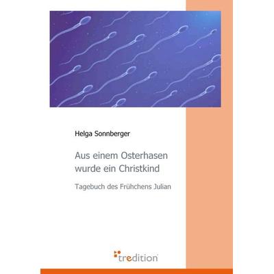 Aus einem Osterhasen wurde ein Christkind, Taschenbuch von Helga Sonnberger, Tredition, 978-3-86850-743-0