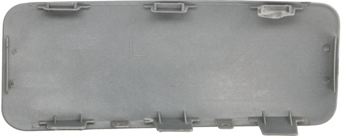 Blende, Stoßstange PACOL DAF-FB-076L