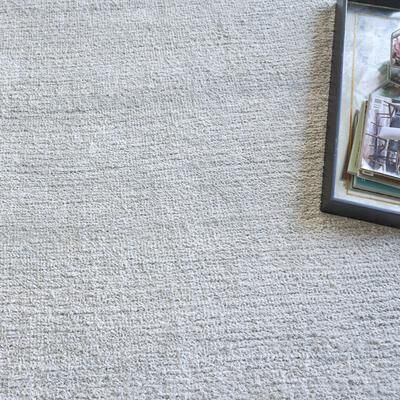 EXQUISITE RUGS Plush Hand-knotted Chrome Area Rug.