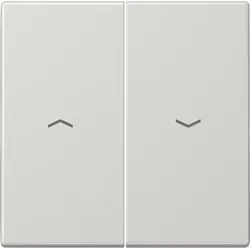 Jung Wippe Symbole lgr LS 995 P LG LS995PLG
