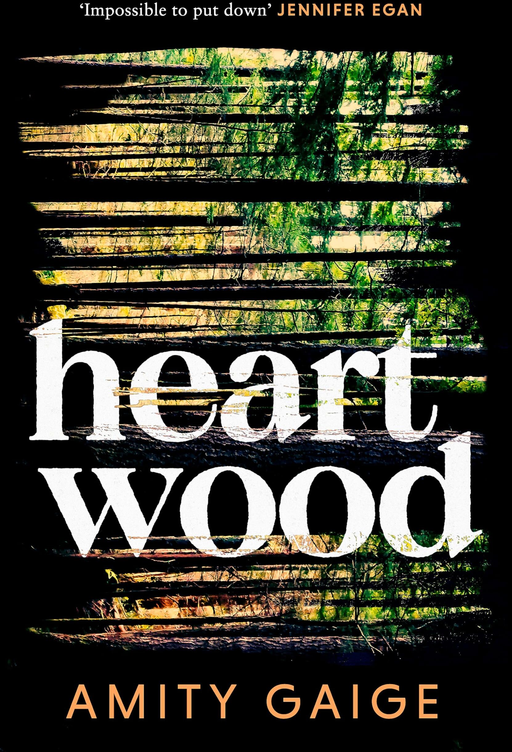 Amity Gaige - Heartwood: 'nearly impossible to put down' Jennifer Egan - Preis vom 06.10.2026 07:26:00 h