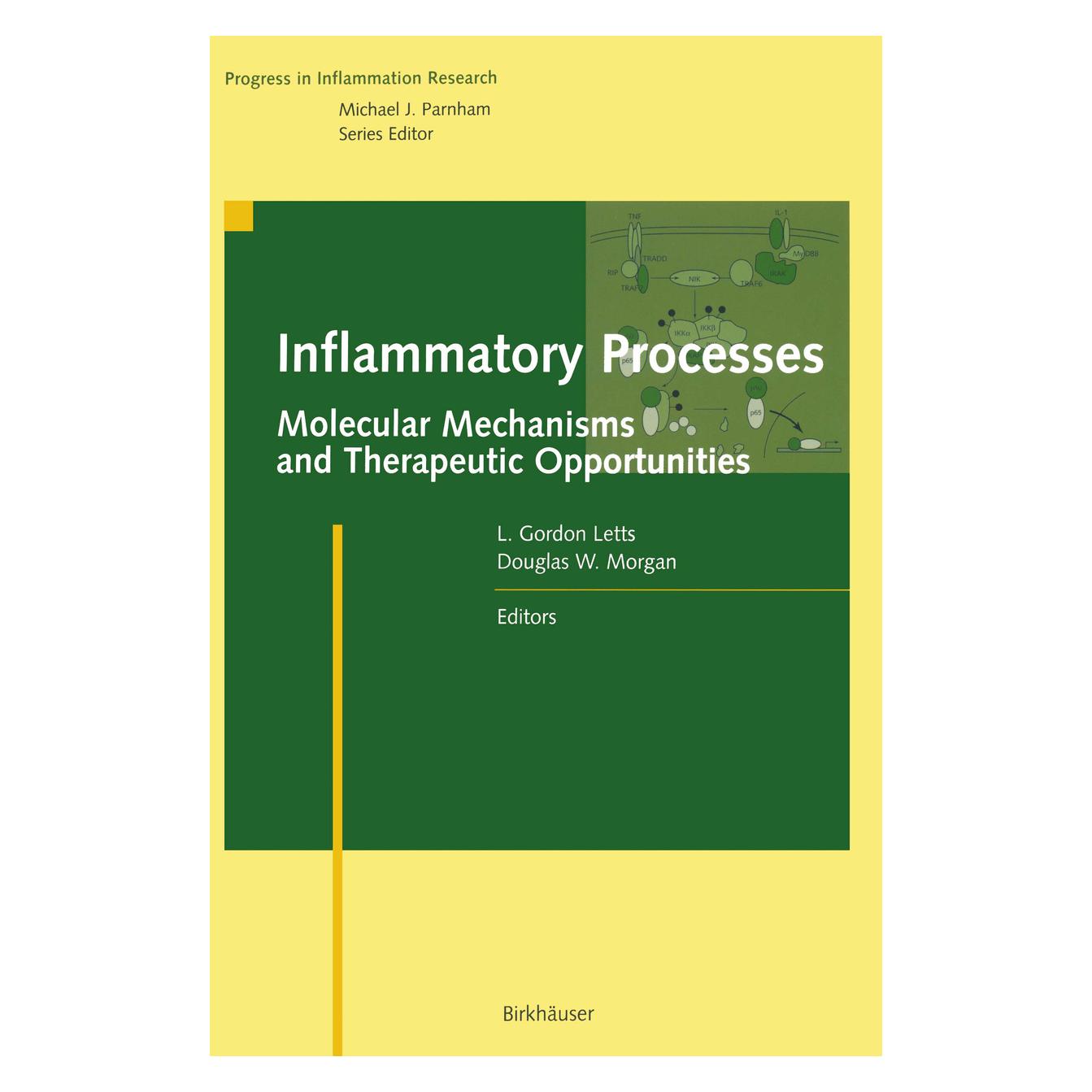 Birkhäuser Inflammatory Processes: (Englisch, Softcover, Douglas W. Morgan, L. Gordon Letts) (55528510)