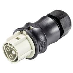 Wieland Electric 96.021.0950.8 Steckverbinder