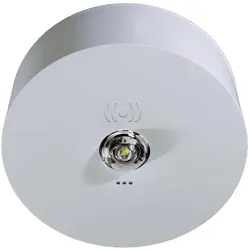 Rp-Group, Deckenleuchte, RP-Technik Sicherheitsleuchte SC, 3h ILDK423SC