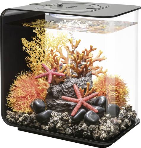 Oase 72029 biOrb FLOW 15 LED schwarz Aquarium EEK: G (A - G) 15l mit LED-Beleuchtung