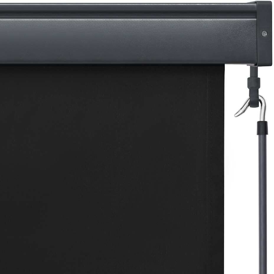 vidaXL Estor enrollable de exterior gris antracita 60x250 cm Antracita