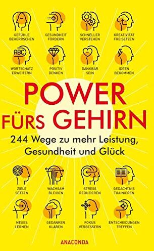 Felix Mayer (Übers.) - Power fürs Gehirn - 244 Wege zu mehr Leistung, Gesundheit und Glück - Preis vom 06.10.2026 07:26:00 h