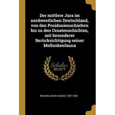 Der Mittlere Jura Im Nordwestlichen Deutschland, Von Den Posidonienschiefern Bis Zu Den Ornatenschichten, Mit Besonderer Berücksichtigung Seiner