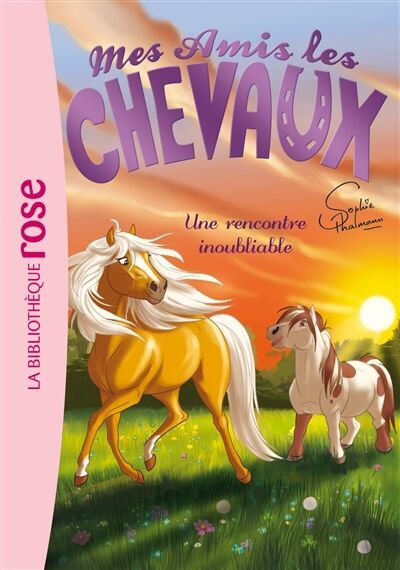 Sophie Thalmann - Mes amis les chevaux. Vol. 6. Une rencontre inoubliable - Preis vom 04.10.2026 03:51:26 h