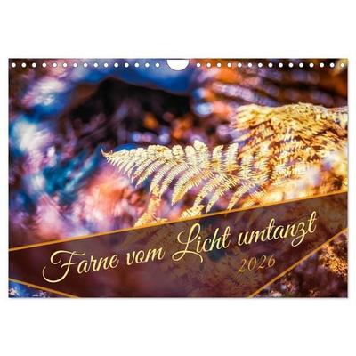 Farne vom Licht umtanzt (Wandkalender 2026 DIN A4 quer), CALVENDO Monatskalender
