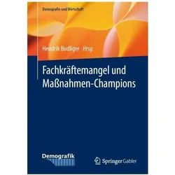 Fachkräftemangel und Massnahmen-Champions, Fachbücher